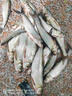 致尊坊進口火線釣魚線主線正品防纏繞大力馬子線超細單股防咬飛磕pe子線 50米單股火線【白色】 1.2號 曬單實拍圖
