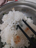 【立減20%】先科電飯煲家用5L智能預(yù)約全自動(dòng)多功能快煮飯電飯鍋 大容量2-8人不粘內(nèi)膽煮飯鍋 先科 5L 電飯煲【普通內(nèi)膽】 曬單實(shí)拍圖