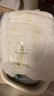 babycare皇室獅子王國弱酸拉拉褲bbc寶寶尿片夏季超薄透氣嬰兒尿不濕尿片 XL 1包 32片 +bc濕巾10抽 曬單實拍圖