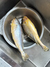 海名威 冷凍寧德黃花魚(yú)600g/條 大黃魚(yú) 深海魚(yú) 生鮮魚(yú)類 海鮮水產(chǎn)  曬單實(shí)拍圖