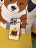 FUNNY RICHcookiecookie適用iPhone16ProMax鏡面手機(jī)殼蘋果15puls新款磁吸保護(hù)套14女防摔13高級感可愛創(chuàng)意 銀色鏡面（磁吸款） iPhone 15 Pro Max 曬單實(shí)拍圖