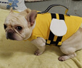 嬉皮狗（hipidog）狗狗救生衣寵物游泳衣服夏季柴犬泰迪中小型犬玩水泳衣中型大型犬 可愛蜜蜂 M（胸圍56-69，脖圍38-50） 曬單實拍圖