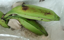 良知農哥  廣西大芭蕉牛蕉大蕉牛角香蕉板蕉 5斤 需催熟現在季節個(gè)頭不大哦 曬單實(shí)拍圖