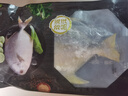 七冰東 金鯧魚 新鮮海捕特大號(hào)金鯧深海平魚金昌魚 海鮮水產(chǎn) 生鮮 魚類 凈重?zé)o冰 5條（800-900g/條） 曬單實(shí)拍圖