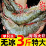 北海灣 蝦 青島大蝦鮮活冷凍基圍蝦 蝦類 海鮮水產(chǎn)生鮮白蝦青蝦海蝦對蝦 氣凍大蝦 3斤(凈重)  15-17cm【單只凍 無冰衣】 曬單實拍圖