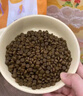 素力高（SolidGold）【第2代金素雞】進(jìn)口鮮肉高蛋白雞肉益生菌腸道貓糧3磅/1.36kg 曬單實(shí)拍圖