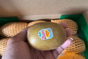 佳沛（zespri）新西蘭 陽光金奇異果12粒禮盒特大果單果約122-146g 獼猴桃 水果 曬單實(shí)拍圖