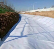 宏苗土工布工程布白色透水保濕橋梁水泥路面公路養(yǎng)護(hù)毯毛氈無(wú)紡布廠家 白色300克寬2米x50米 100平方 曬單實(shí)拍圖