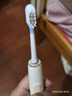 清奢適配Haier海爾電動牙刷頭HTA2-HYB/JYL小摩刷替換刷頭HT21-HYB/SHF/HT11/HTA1/HTV-11/T11牙刷頭 6支 舒適清潔款 曬單實拍圖
