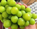 好媛好宇陽光玫瑰葡萄 新鮮水果禮盒 5斤精選中大果裝單果6-8g凈重4斤 曬單實(shí)拍圖