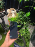 功崇【昆侖冰晶】適用華為pura80pro手機(jī)殼冰晶鏡面玻璃保護(hù)套pura80鏡頭全包防摔散熱Pro/+男女情侶 pura80pro/+【淡青色】昆侖防摔丨鏡頭全包 2025新研發(fā) | 高奢冰晶 曬單實(shí)拍圖
