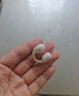 蘭士頓 藍(lán)牙耳機 骨傳導(dǎo)概念耳夾式無線開放不入耳 運動跑步騎行通話降噪 適用于蘋果小米手機 米黃色 曬單實拍圖