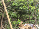 歐派諾油煙機(jī)家用廚房大吸力吸油煙機(jī)小尺寸脫排抽煙機(jī)小戶型側(cè)吸式抽油煙機(jī)單雙電機(jī)煙機(jī)灶具套裝 單電機(jī)710mm按鍵款公寓出租房用【不帶圍板】 包安裝 曬單實(shí)拍圖