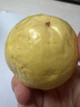 京覓 福建黃金百香果欽蜜9號(hào) 新鮮水果生鮮 3斤(單果60-70g) 源頭直發(fā) 曬單實(shí)拍圖