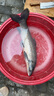 漢鼎一號(hào)6代魚竿超輕手竿10米臺(tái)釣竿鯽魚竿碳纖維手桿 大綜合10.0米 曬單實(shí)拍圖