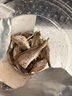 萬達(dá) 香脆黃魚酥250g×1罐原味吮指香酥小黃魚海味休閑追劇零食 曬單實拍圖