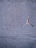 耐克（NIKE）男褲 AJ 2025春季新款休閑褲梭織工裝褲直筒褲運(yùn)動(dòng)褲長(zhǎng)褲 HF9330-010 M 曬單實(shí)拍圖