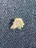 莫代爾6雙裝男士襪子男100%純棉防臭抗菌網(wǎng)眼短襪運動透氣春夏薄款船襪 曬單實拍圖