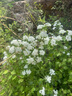 伊芙麗（eifini）伊芙麗含亞麻圓領(lǐng)簡(jiǎn)約測開(kāi)叉隨性針織衫兩穿式罩衫2025春季新款 粉色 M 105-115斤 曬單實(shí)拍圖