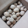 京鮮生恩施馬爾科小土豆5斤 單果約20-40g 新鮮黃心土豆馬鈴薯源頭直發(fā) 曬單實拍圖