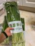 綠源禾心有機(jī)韭菜新鮮現(xiàn)割鮮嫩炒菜燒烤餃子餡農(nóng)場當(dāng)季時(shí)令健康無農(nóng)殘蔬菜 3斤 曬單實(shí)拍圖