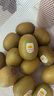 佳沛（zespri）新西蘭  陽(yáng)光金奇異果16粒禮盒經(jīng)典果單果約 77-103g 水果 獼猴桃 曬單實(shí)拍圖