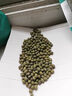 沂蒙山特產(chǎn)毛綠豆2025新豆子農(nóng)家自種雜糧可發(fā)芽帶皮老品種笨綠豆 5斤 曬單實拍圖