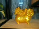 莫尼森  MOREISAN黃銅小豬擺件白菜生肖豬客廳玄關(guān)辦公室桌面喬遷開業(yè)禮品生日禮物 財富豬-小號(金色升級款) 曬單實拍圖