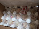 京鮮生蜜蜂授粉牛三蜜瓜網(wǎng)紋瓜 單果2斤起 凈重8-9斤 2-4粒裝源頭直發(fā) 曬單實(shí)拍圖