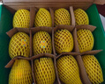 佳沛（zespri）新西蘭陽(yáng)光金奇異果 8個(gè)裝 特大果單果重約122-146g 水果獼猴桃 曬單實(shí)拍圖