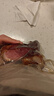 阮小哥 臘肉后腿臘肉500g 咸肉煙熏臘肉川味臘肉腌篤鮮四川風(fēng)味土豬特產(chǎn) 曬單實(shí)拍圖