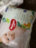 好奇（Huggies）森林密語 成長褲 拉拉褲  小森林 XL30片 曬單實拍圖