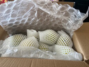 京鮮生 新疆庫爾勒香梨 凈重5斤 一級 單果100g-120g  生鮮水果 曬單實拍圖
