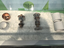 珂潤(rùn)(curel)  保濕潔顏泡沫150ml 氨基酸洗面奶 保濕潔面 曬單實(shí)拍圖