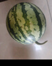 京鮮生 大漠蜜瓜系列 大漠斗牛蜜瓜 2枚 凈重6-7斤 新鮮水果 源頭直發(fā) 曬單實(shí)拍圖