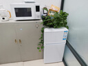 海爾（Haier）88升小冰箱冰箱雙開門小戶型迷你家用租房宿舍辦公室節(jié)能省電BCD-88GHTMZ0WV家電國家補(bǔ)貼15% 曬單實(shí)拍圖