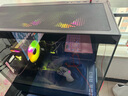 AMD銳龍R5 9600X主機(jī)5060整機(jī)/5060TI/7650GRE/9060XT顯卡7500F電競游戲電腦臺式機(jī)DIY組裝機(jī)海景房 R5 7500F+RX7650GRE丨二 曬單實(shí)拍圖
