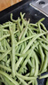 【春和田】云南四季豆新鮮現摘豆角蕓豆刀豆菜豆應季蔬菜 3斤普通（帶箱重） 曬單實(shí)拍圖