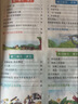 2025春 實驗班提優(yōu)訓練 二年級下冊 語文人教版 強化拔高教材同步練習冊 曬單實拍圖