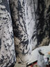 雪夕（XUEXI）兩件套媽媽夏裝短袖圓領(lǐng)T恤上衣中老年女夏季洋氣顯瘦半身裙套裝 曬單實(shí)拍圖