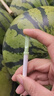 諍友 （JOYO）替煙薄荷吸棒輔助戒煙替代品吸棒12支裝 曬單實拍圖