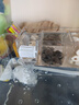 寵小帥魚缸過濾器三合一壁掛式水族箱增氧過濾增氧盒生態(tài)造景循環(huán)凈水器 【四格】過濾倉 (適用40-50cm魚缸) 曬單實拍圖