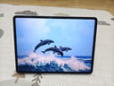 vivoPad5 8GB+256GB 展藍圖【國家補貼】 天璣9300+ 智慧流暢 OriginOS 5 HD 12.1英寸 2.8K 護眼屏 曬單實拍圖
