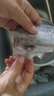 東上御品 山東 四指寬帶魚去頭去尾中段 無冰四指帶魚凈重4斤-源頭直發(fā) 曬單實(shí)拍圖