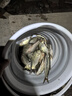 臻佑（Grsaed）雙層釣魚子線盒40CM競技子線仕掛盒鉤盒多功能超長加寬超薄魚鉤魚線盒釣魚漁具配件 曬單實拍圖