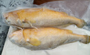 海名威 冷凍黃花魚700g/2條 寧德大黃魚地標(biāo) 海鮮水產(chǎn) 生鮮魚類  曬單實(shí)拍圖