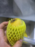 京覓四川凱特芒果新鮮水果凈重4.5斤單果300g-400g源頭直發(fā)包郵 曬單實(shí)拍圖