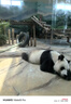 小頑豆幼兒童玩具益智力數(shù)字立體拼圖積木早教開發(fā)1-2歲半3男孩女孩寶寶 曬單實拍圖