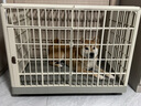 華元寵具（hoopet）狗狗樹(shù)脂籠子寵物室內圍欄大空間帶廁所中大型犬家用柵欄隔離專(zhuān)用 曬單實(shí)拍圖