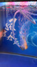 森森魚缸增氧泵水族箱氧氣泵LQE-50家用小型充氧泵3W單孔+全套配件 曬單實拍圖